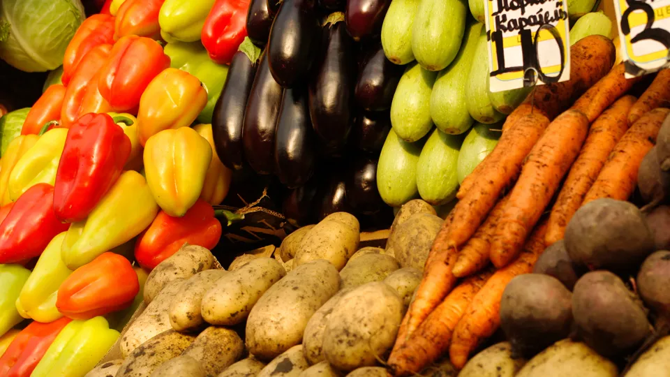 Фото: Медиаархив Подмосковья