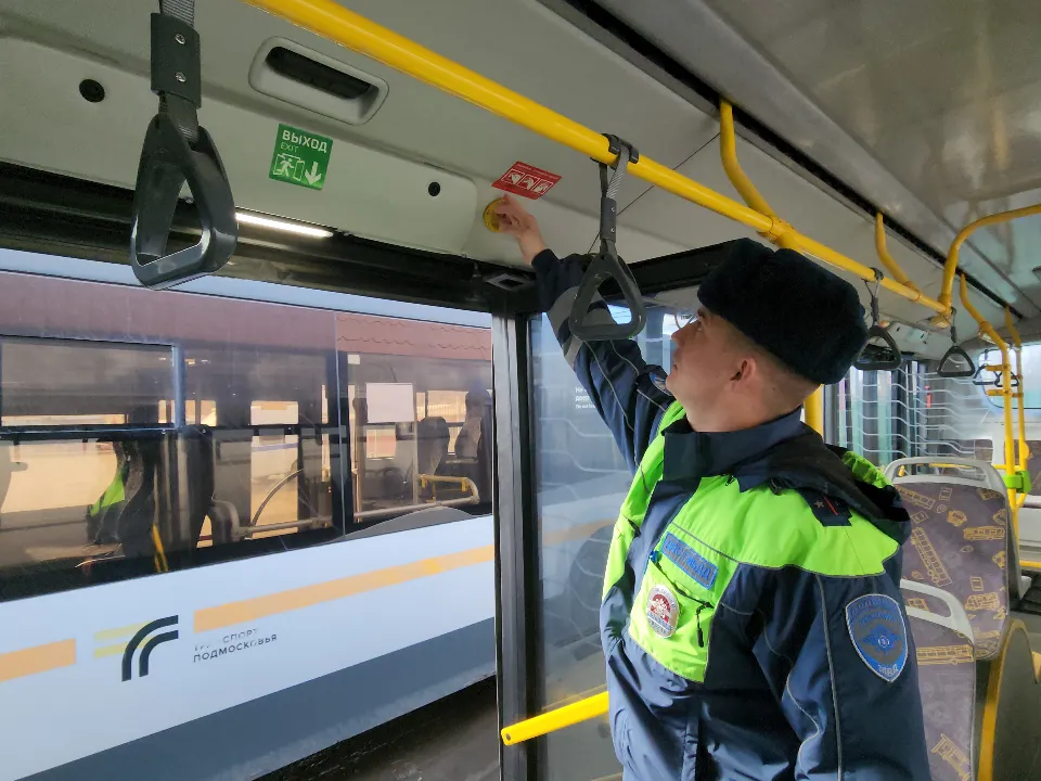 Фото: МедиаБанк Подмосковья/Екатерина Данилина&nbsp;