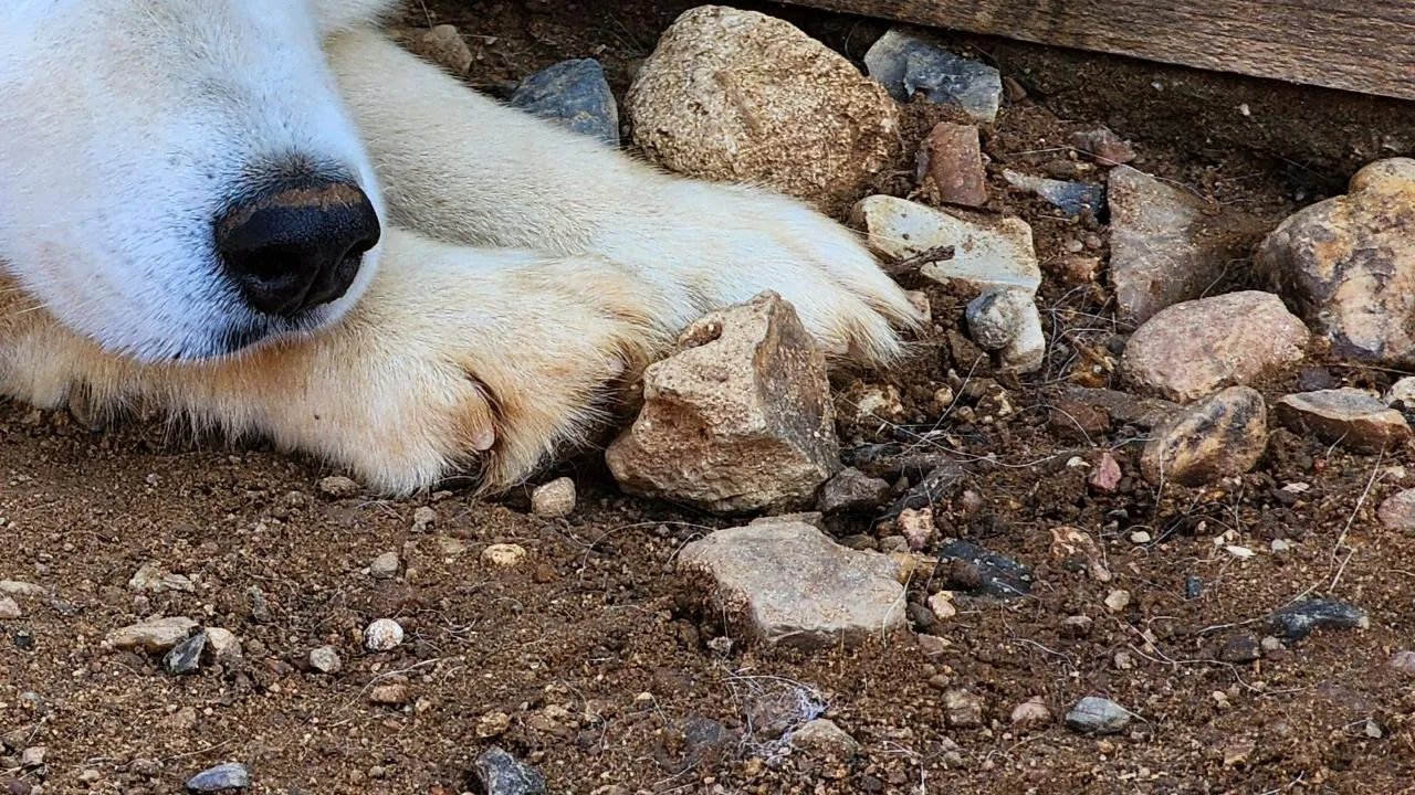 МедиаБанк Подмосковья/Данилина Екатерина