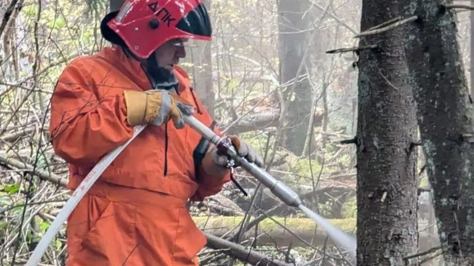 Фото: пресс-служба администрации г. о. Черноголовка