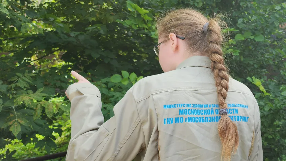 Фото: МедиаБанк Подмосковья/Андросова Юлия