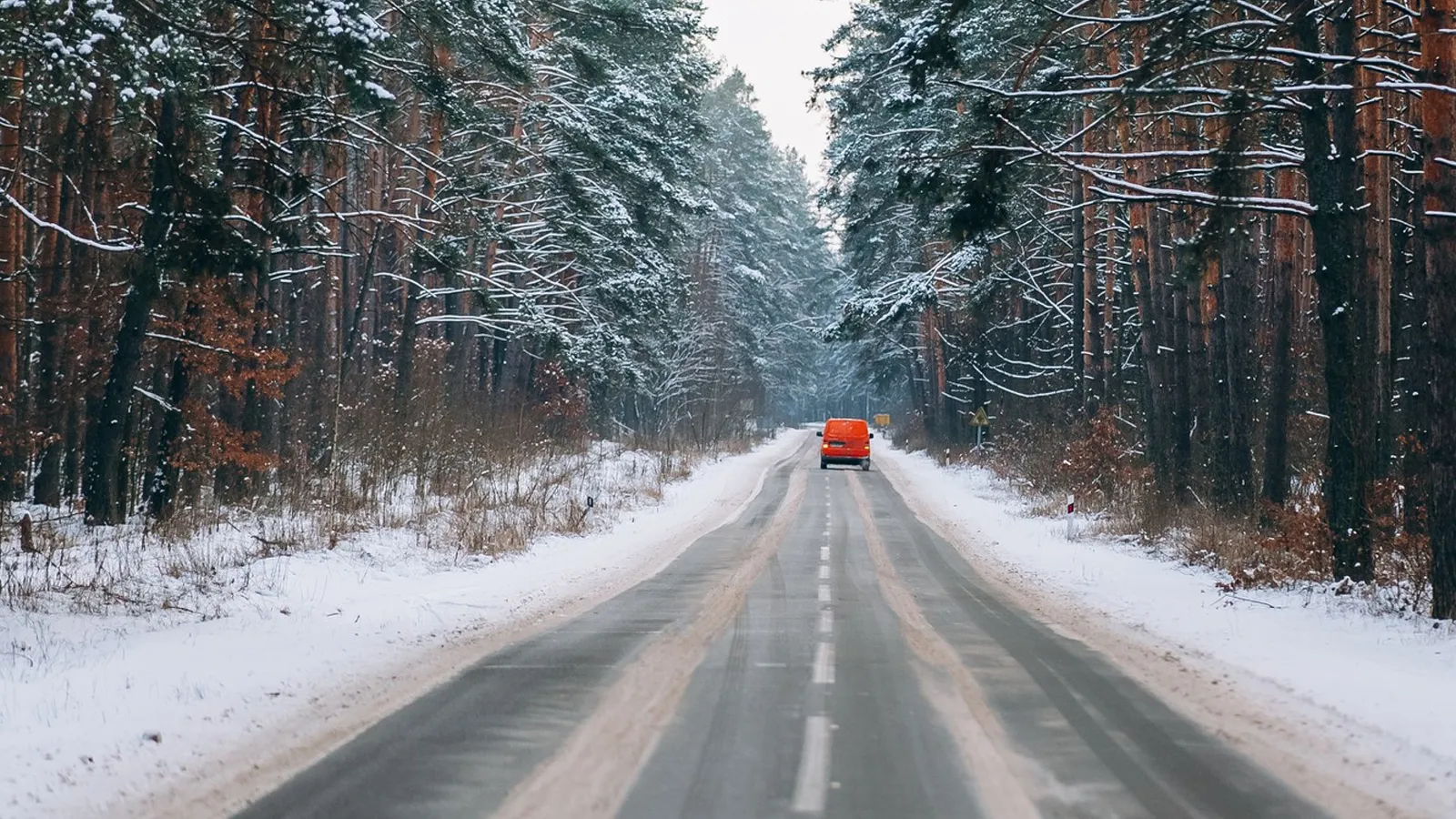 Фото: freepik.com/teksomolika