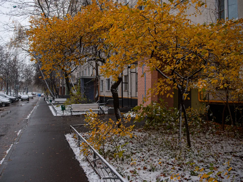 Фото: медиасток.рф