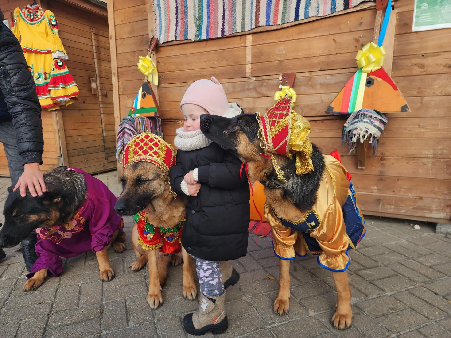 Фото: Михаил Мартыненко