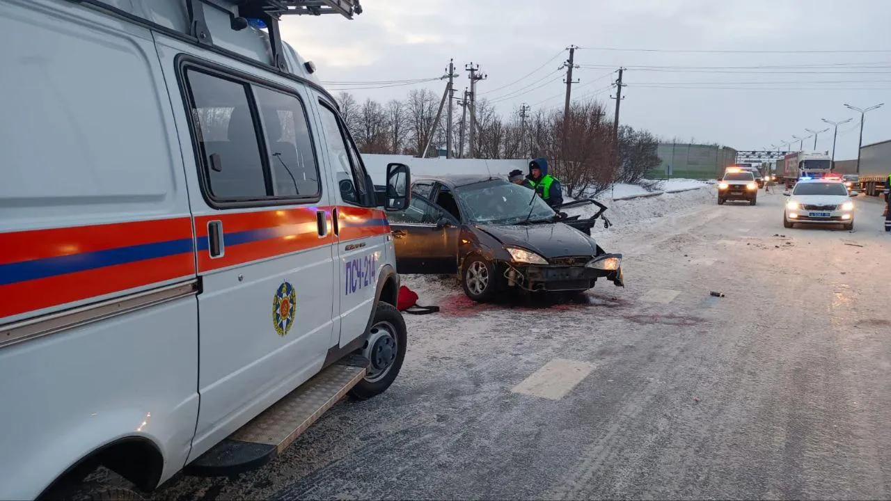 Фото: ГКУ МО «Мособлпожспас»