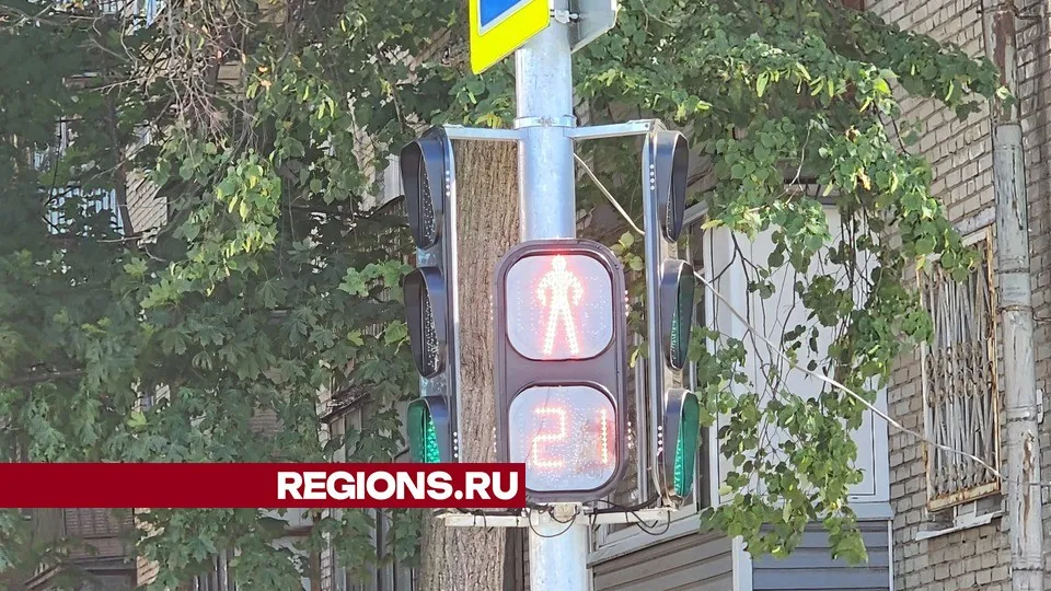 Фото: МедиаБанк Подмосковья/ Роман Савельев