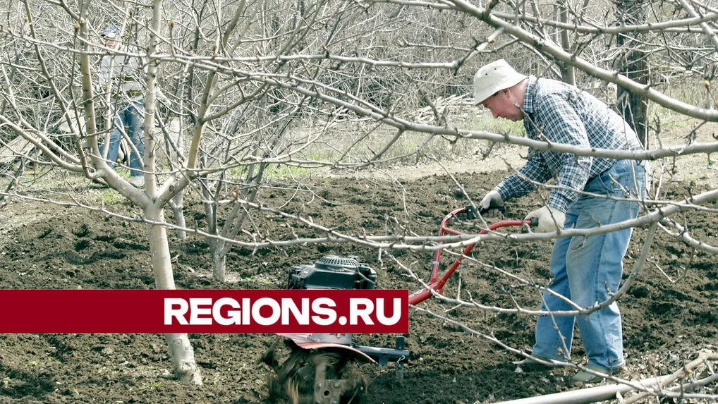 Фото: ©Александр Легкий