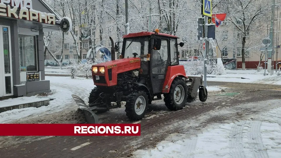 Фото: Иван Чижов