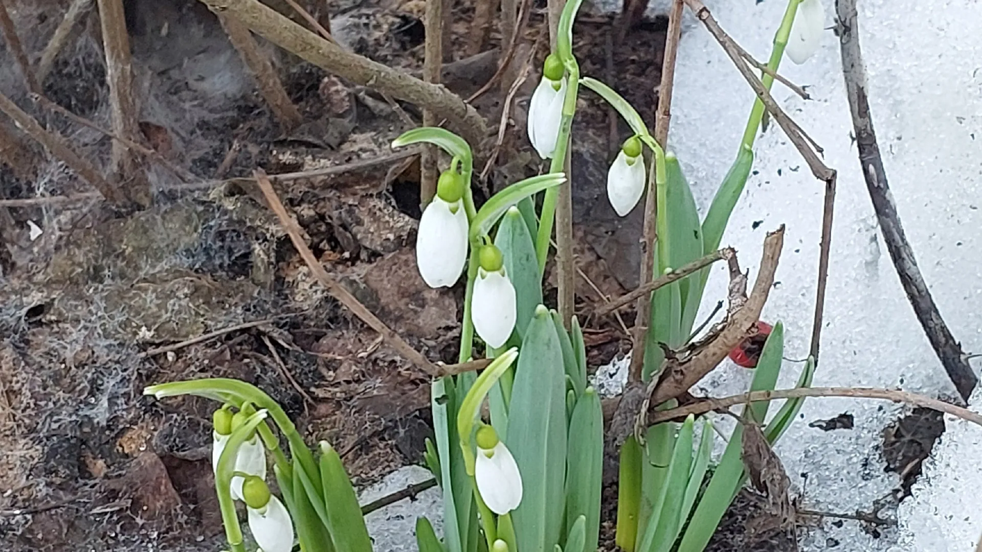 Фото: vk.com/Подслушано | Истра/Ирина Л.
