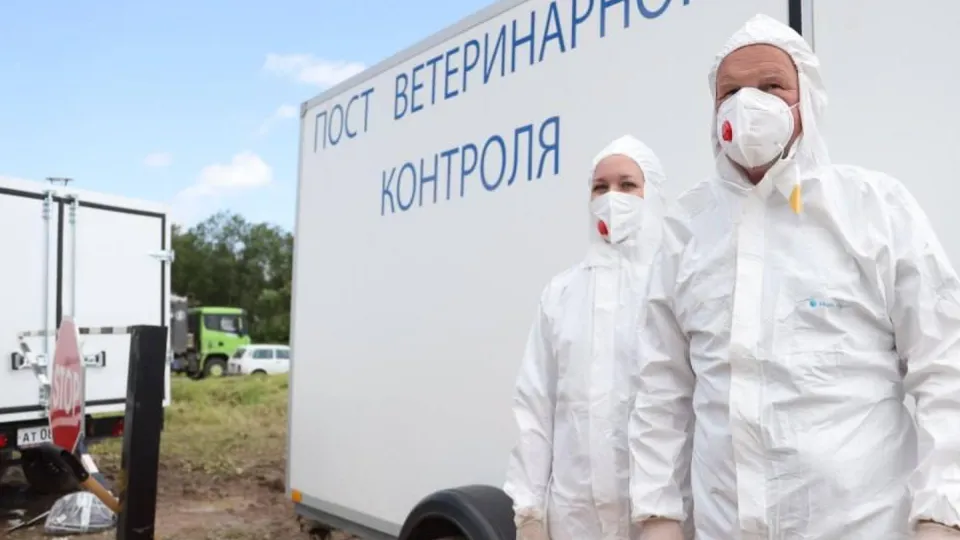 Фото: Министерство сельского хозяйства и продовольствия МО