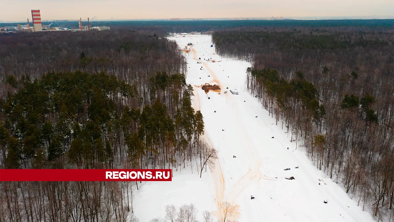 Фото: Антон Шаманин