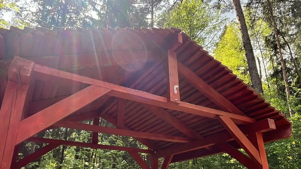 Фото: МедиаБанк Подмосковья