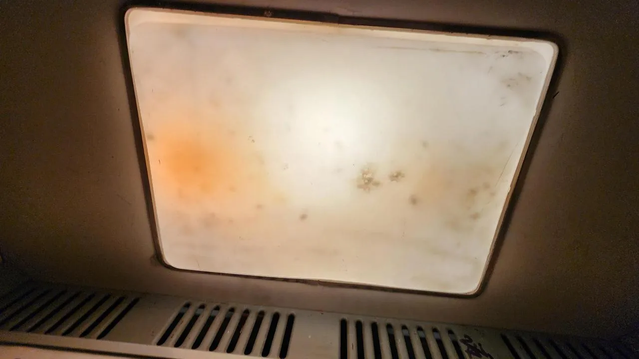 МедиаБанк Подмосковья/Екатерина Данилина