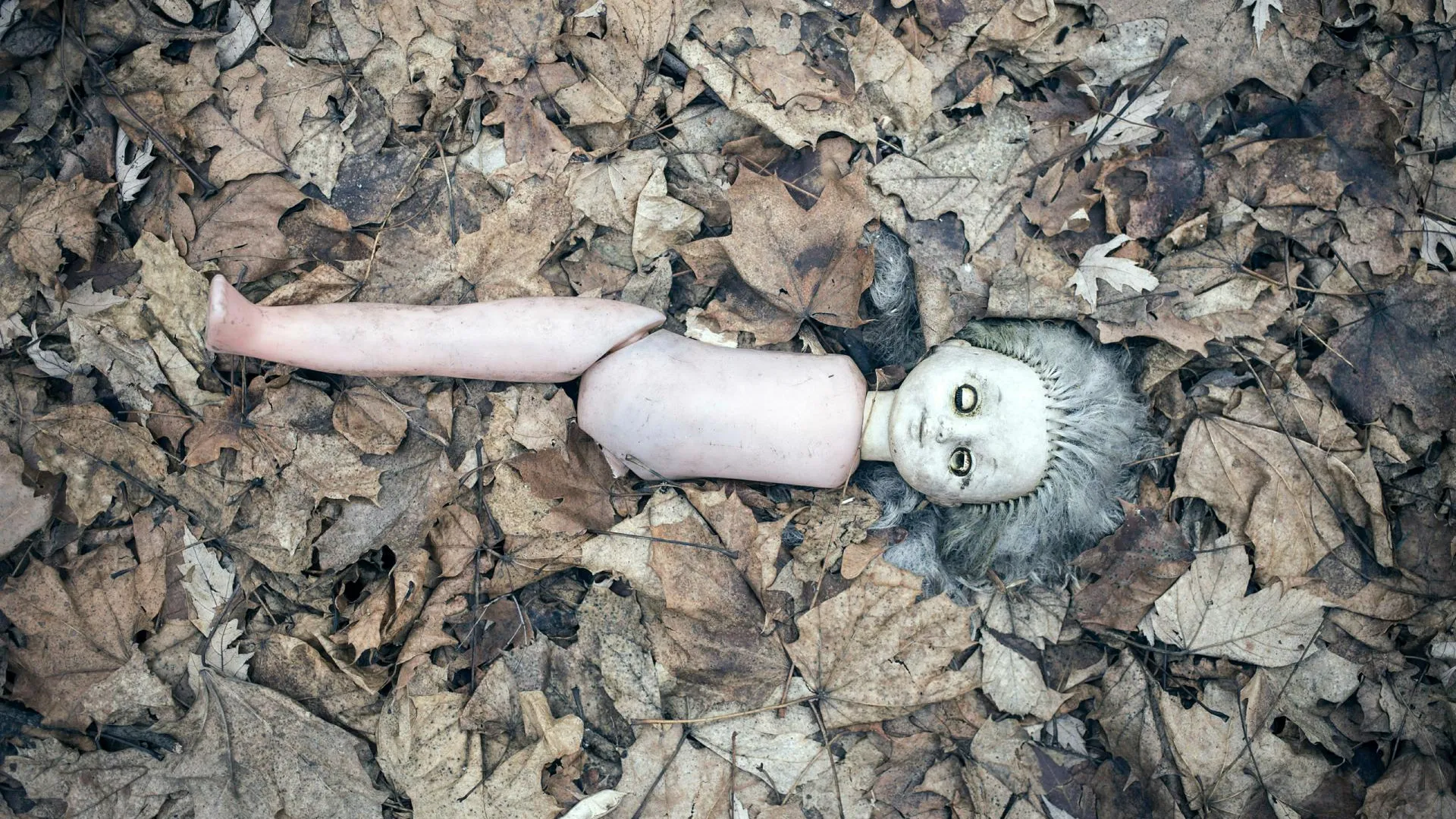 Florian Bachmeier/imageBROKER.com/Global Look Press