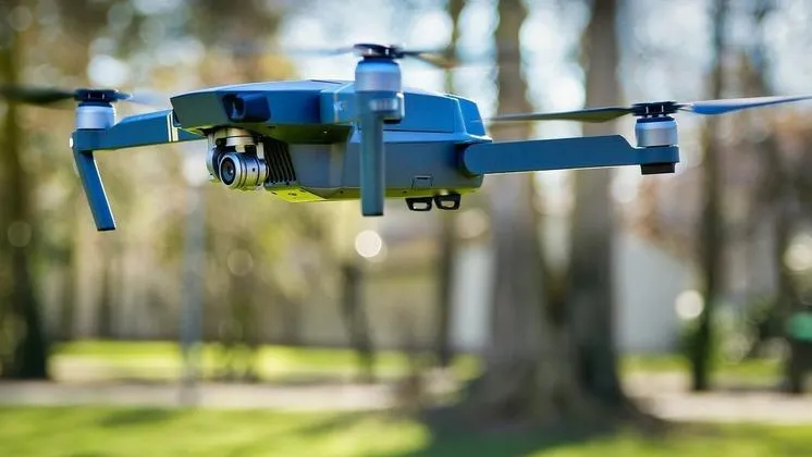 Фото: pixabay.com