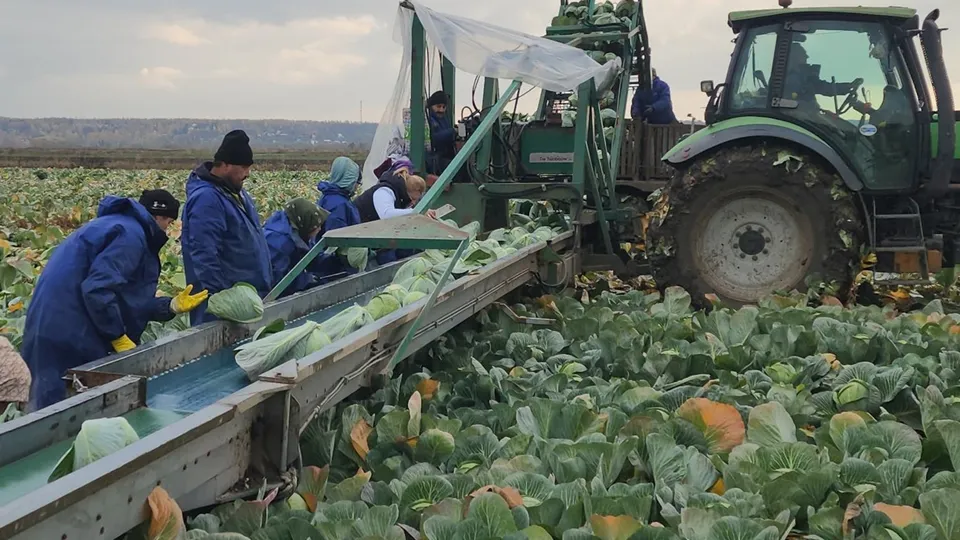 Фото: REGIONS/Валерий Гореловский