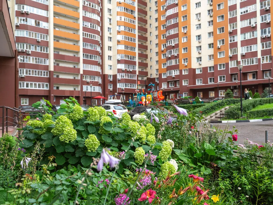 Фото: администрация г.о. Реутова