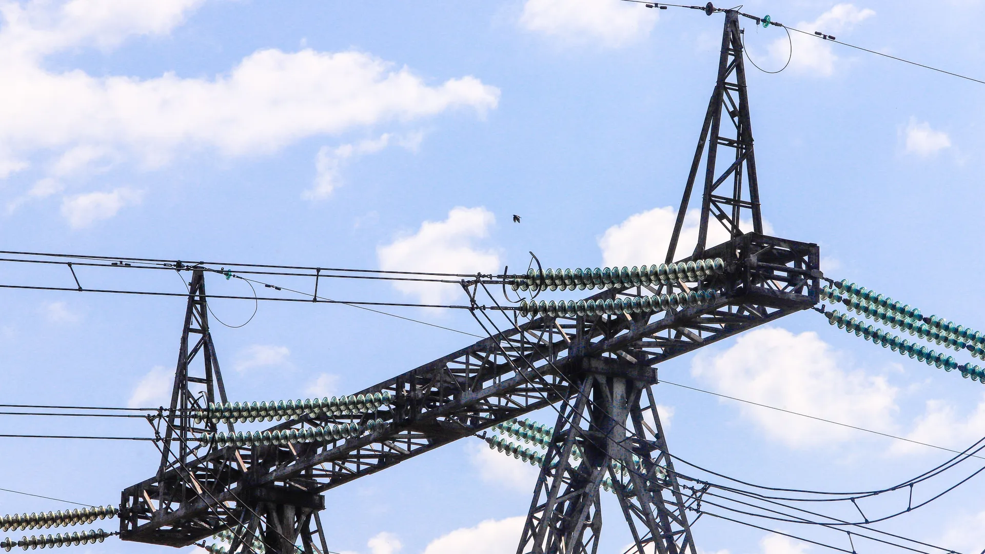 Фото: Виталий Ватулин