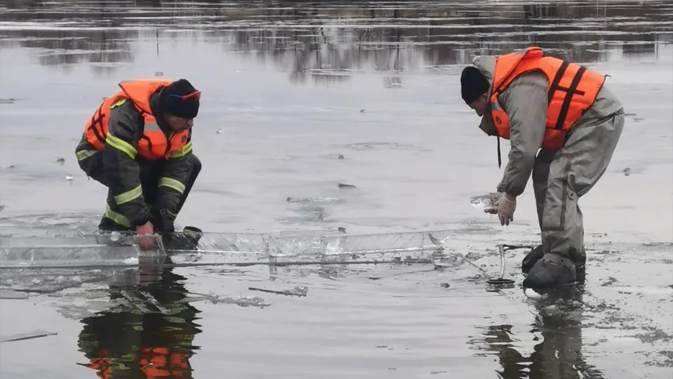 Фото: ГКУ МО «Мособлпожспас»