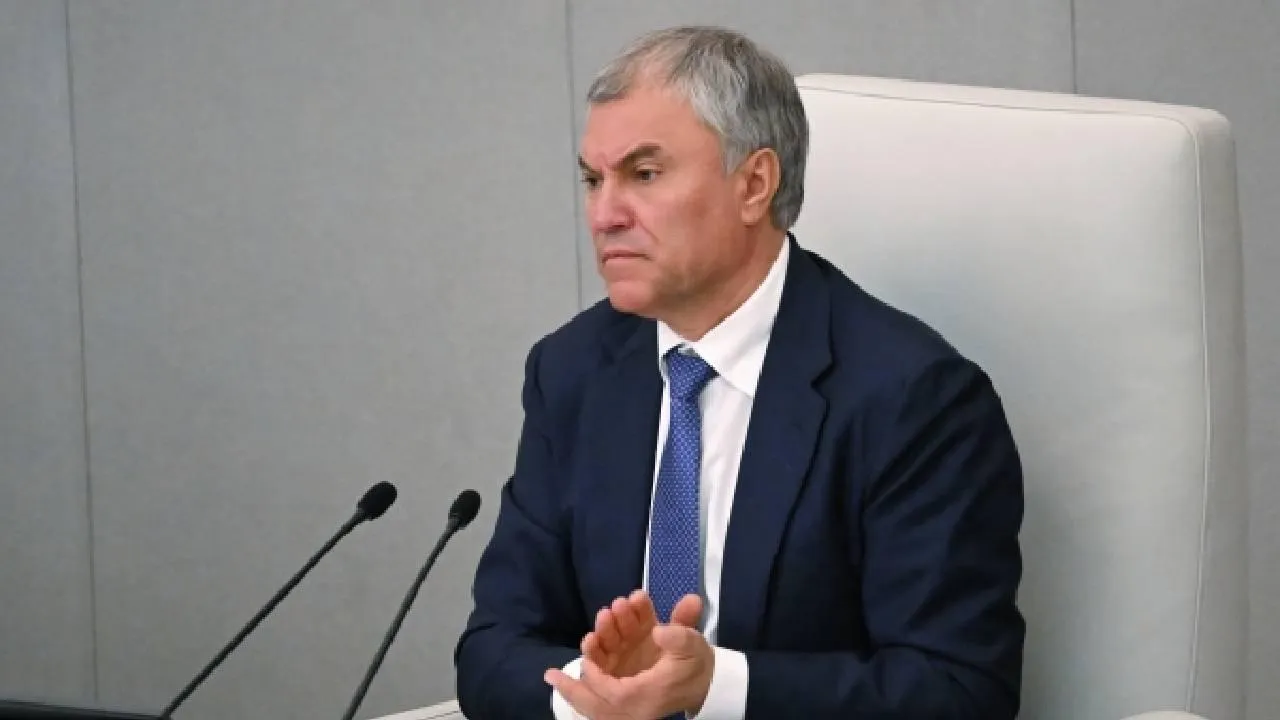 Вячеслав Володин предлагает запретить использование заменителей молока