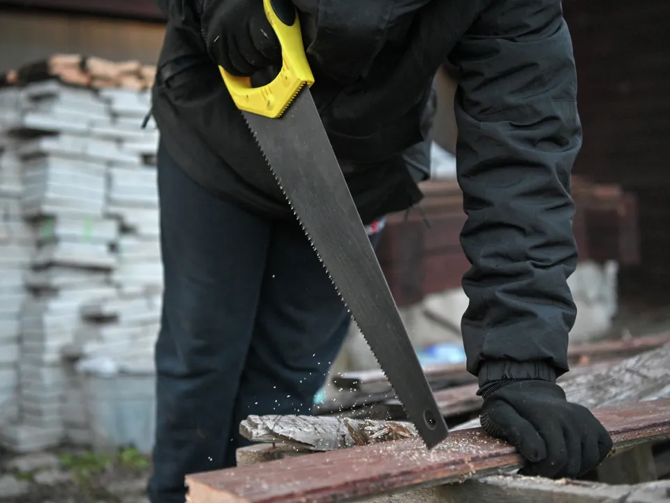 Фото: РИА Новости/Владимир Песня