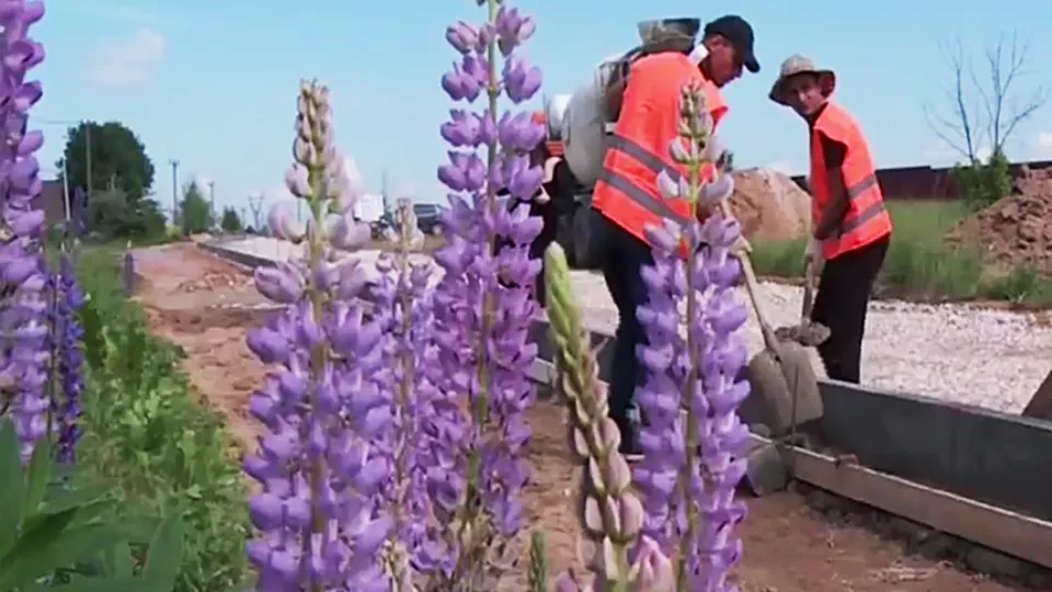 Фото: пресс-служба Администрации г.о. Серпухов