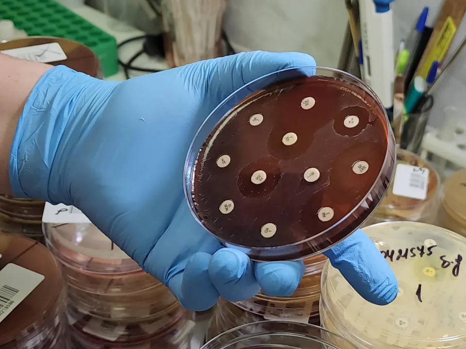 Фото: Артем Мишуков