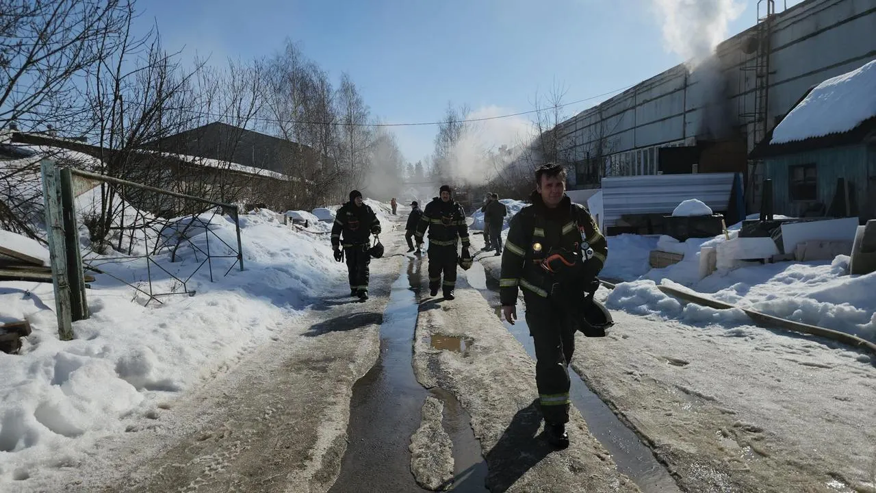 МедиаБанк Подмосковья/Екатерина Данилина