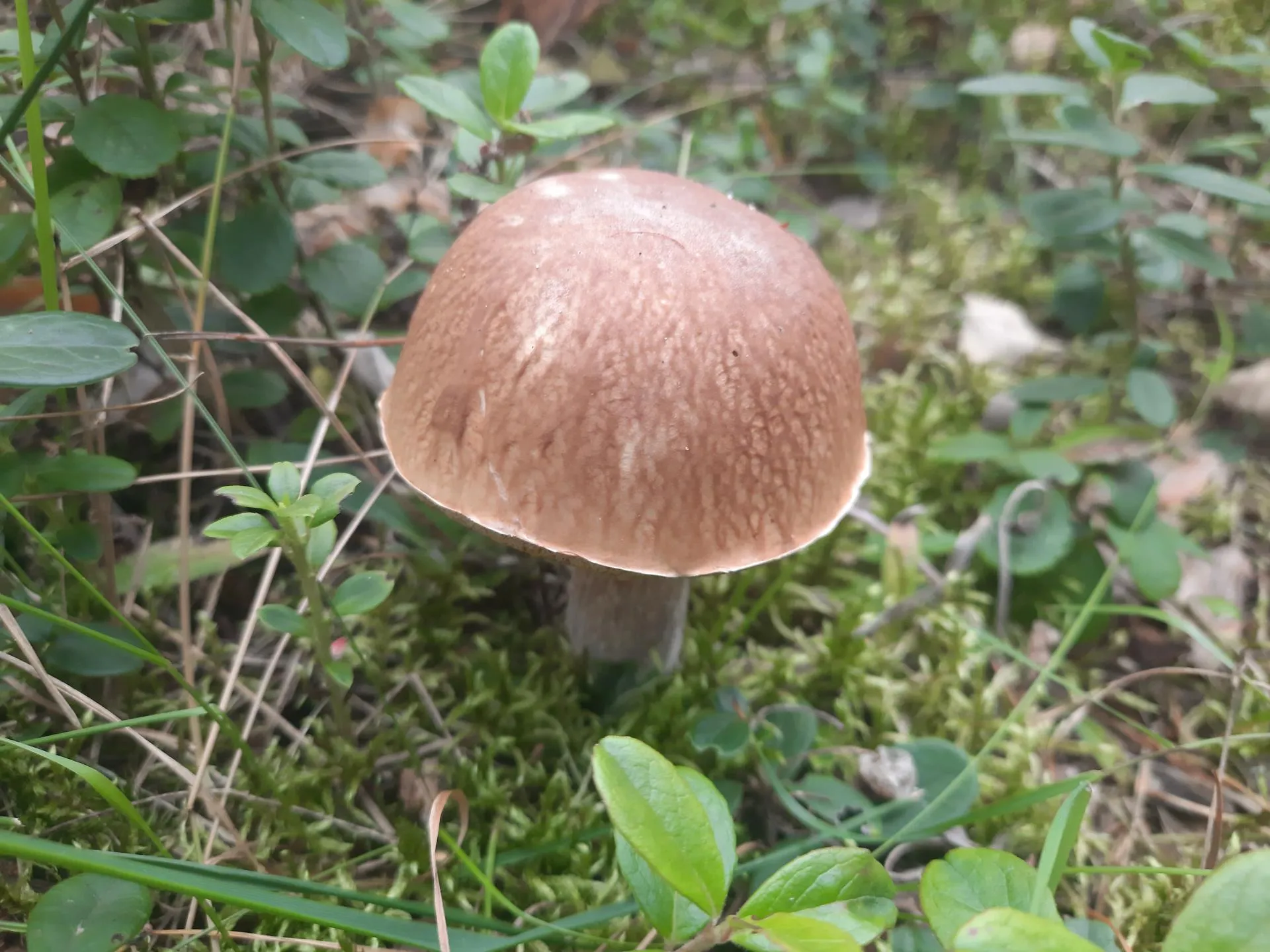 Фото: Михаил Мартыненко