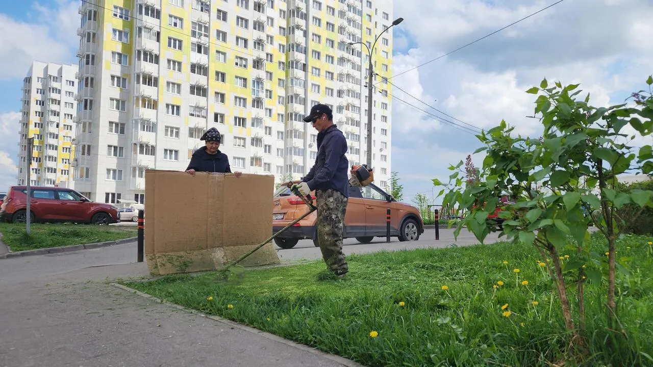Картинка