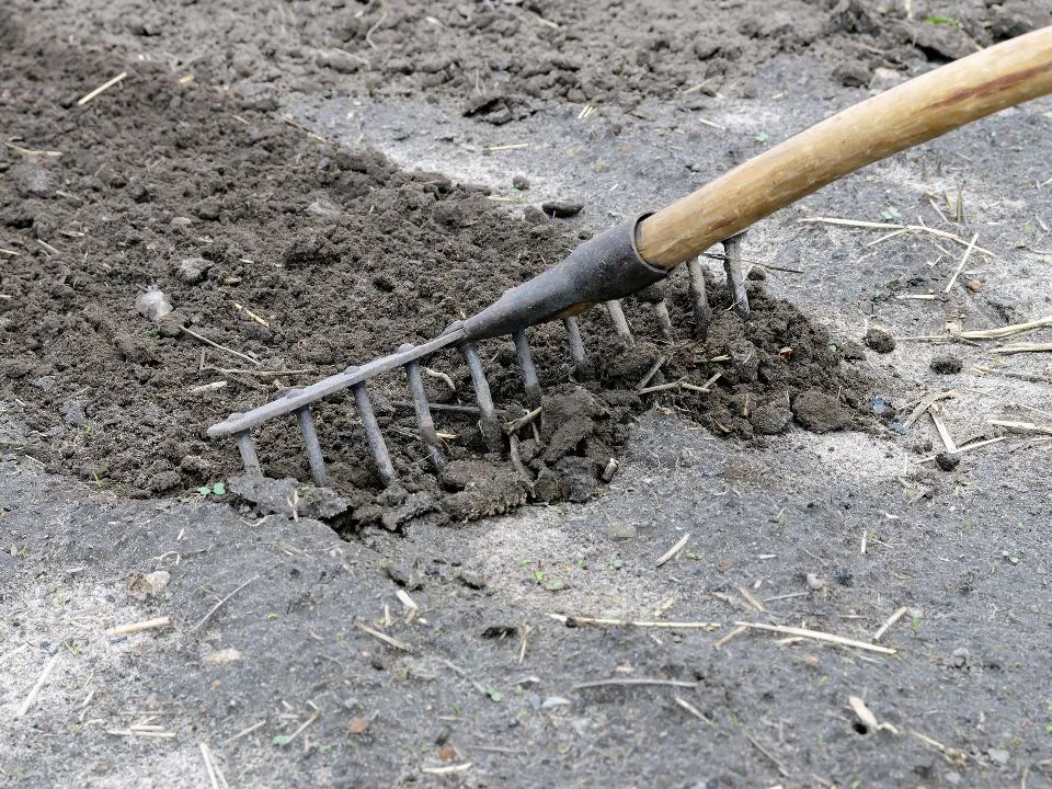 Фото: istockphoto.com