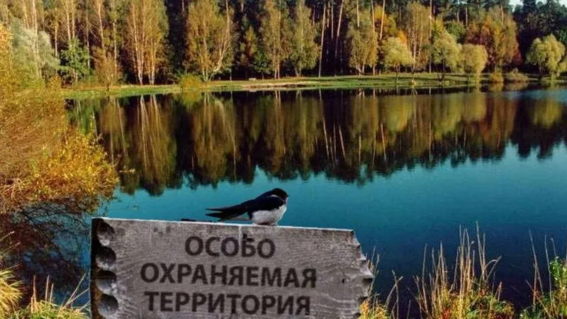Охотников, заехавших на территорию заказника, оштрафовали в Воскресенске