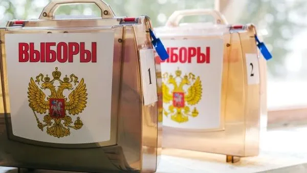 Явка на выборах губернатора МО на 18:00 составила 31,56%
