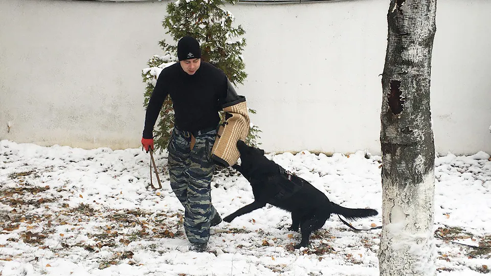 Фото: ОМВД России по г. о. Лобня