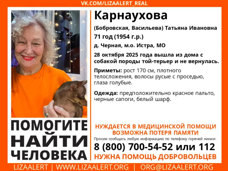 Фото: t.me/lizaalertmo