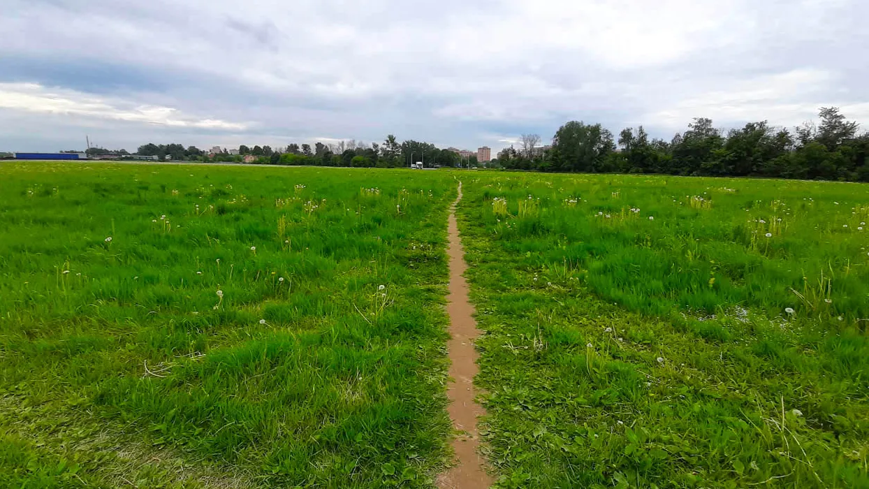 Фото: Дмитрий Кравцов