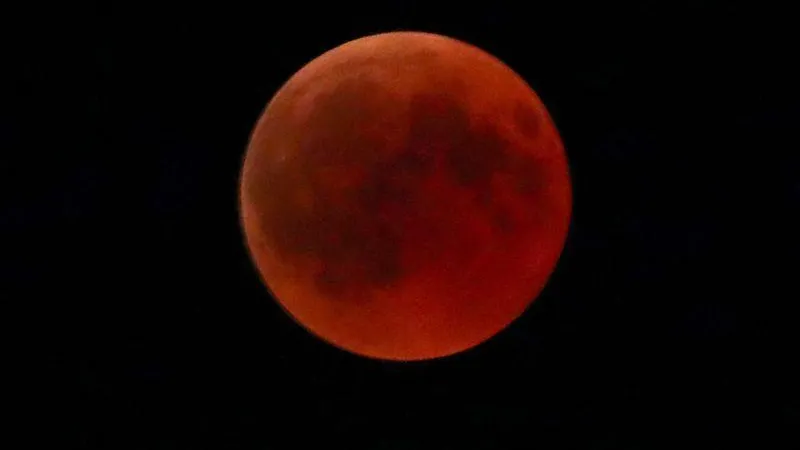Michael Dalder/Reuters