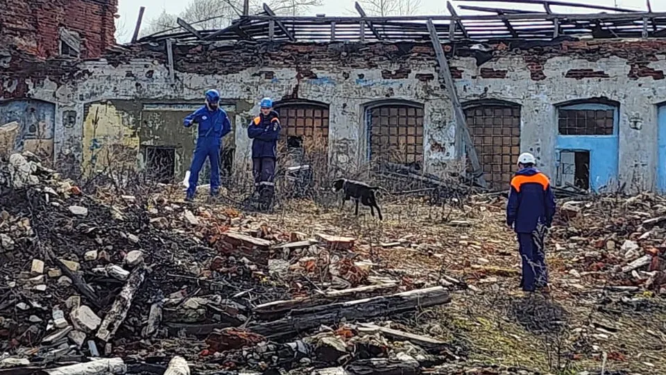 Фото: МЧС РФ МО