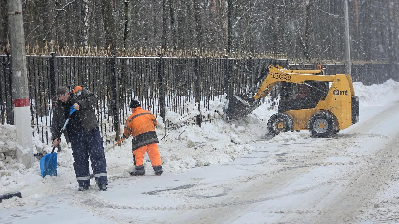 МедиаБанк Подмосковья/Ольга Вельшикаева