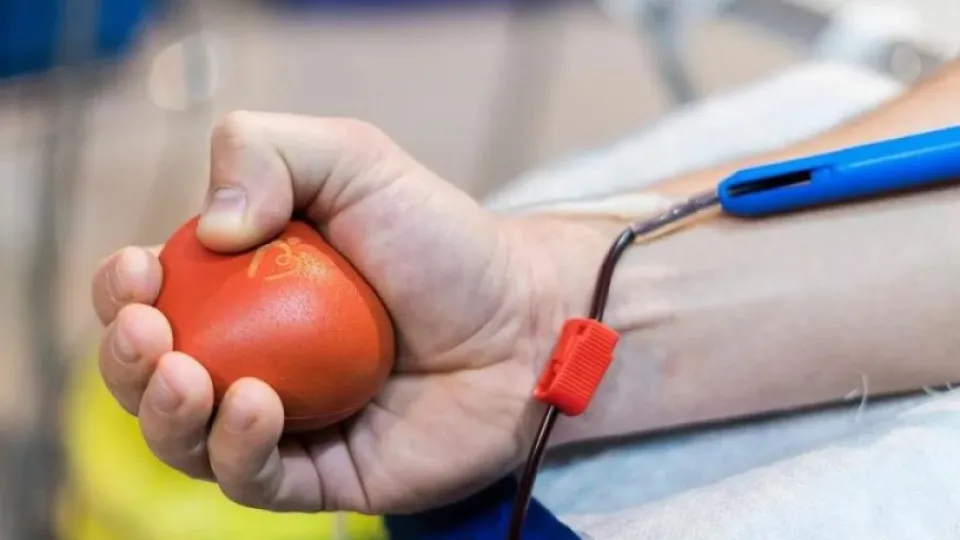 Фото: Домодедовская больница