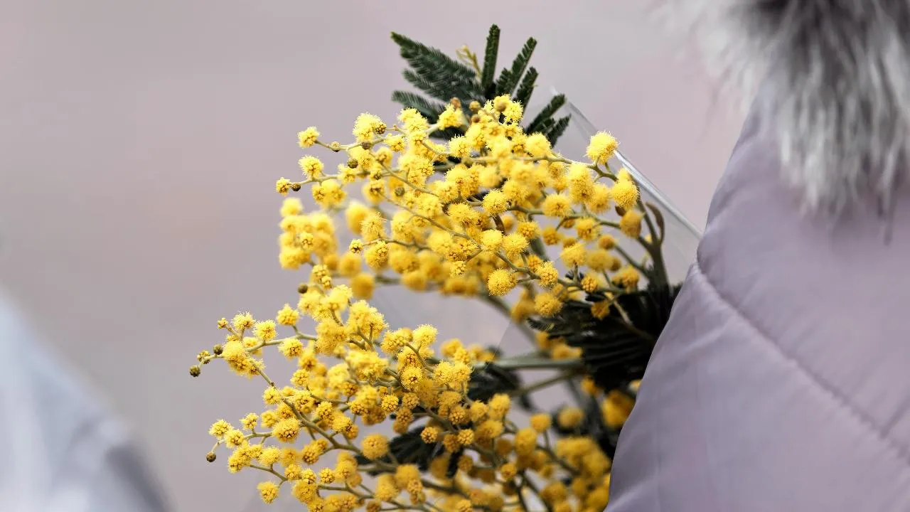 медиасток.рф