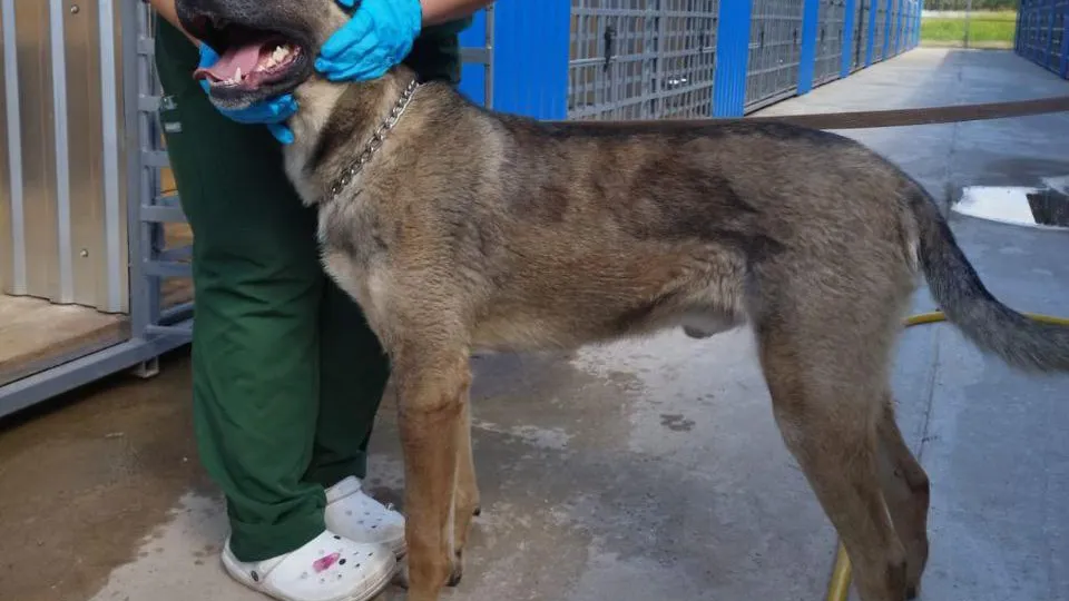 Фото: Пресс-служба Министерства сельского хозяйства и продовольствия Московской области