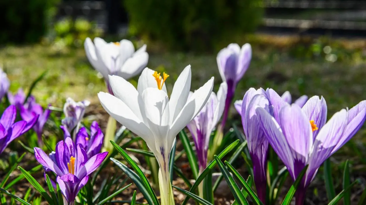 медиасток.рф