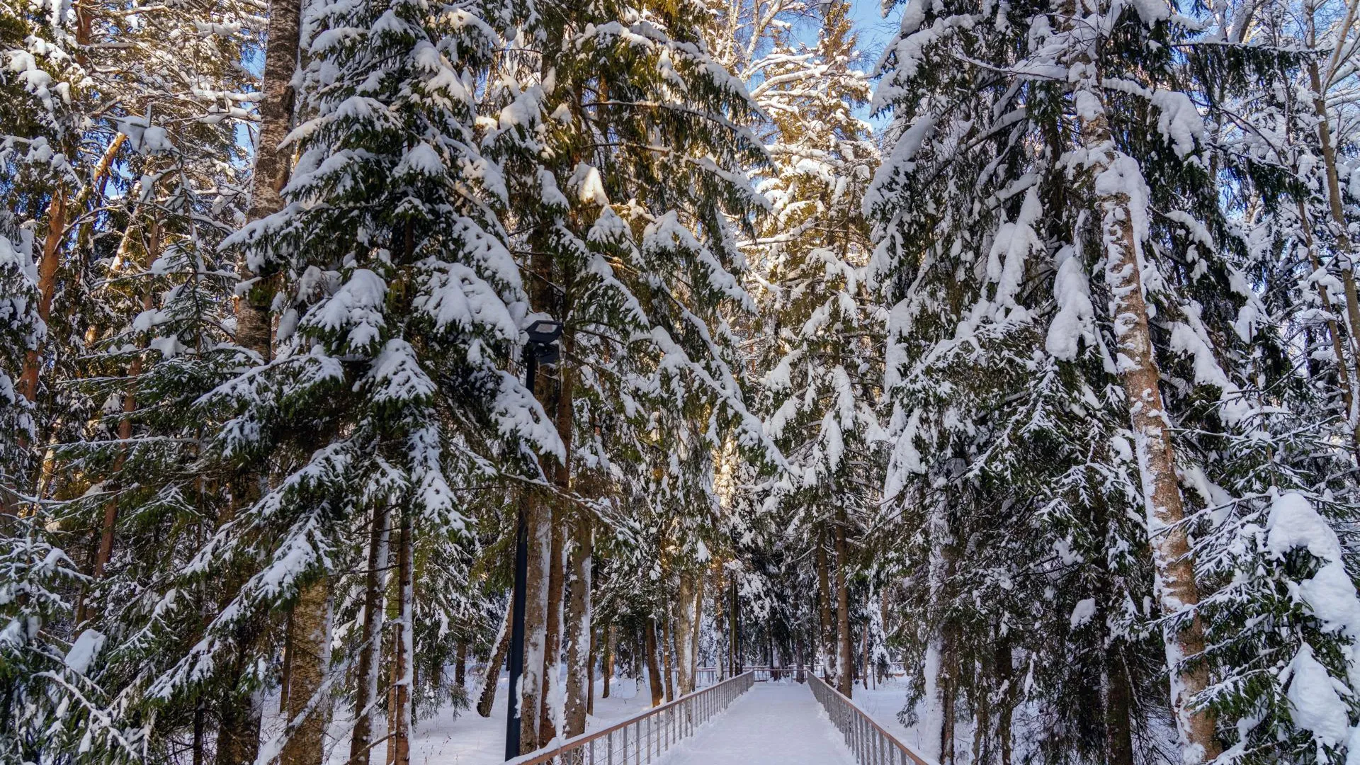 медиасток.рф