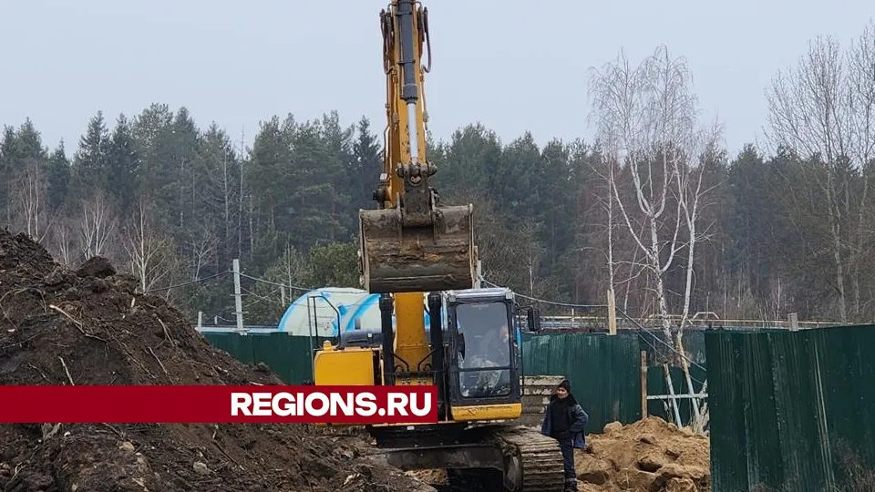 Фото: Хавива Фонина