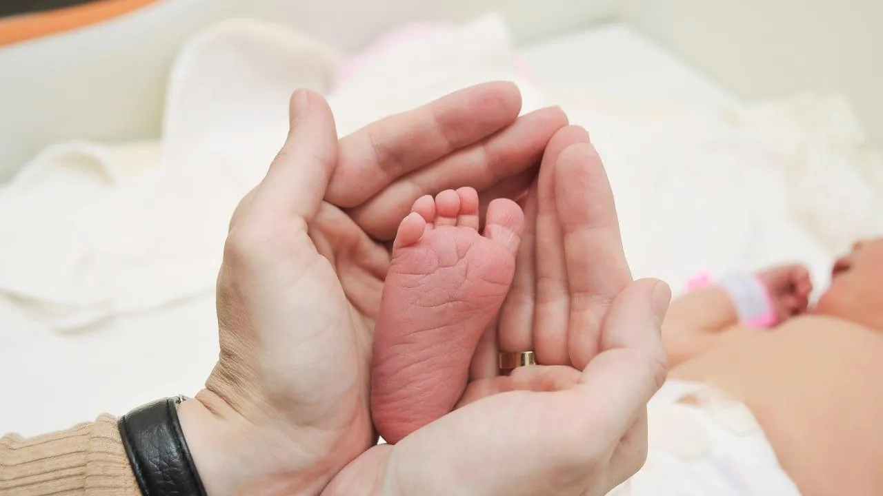 Фото: Freepik.com