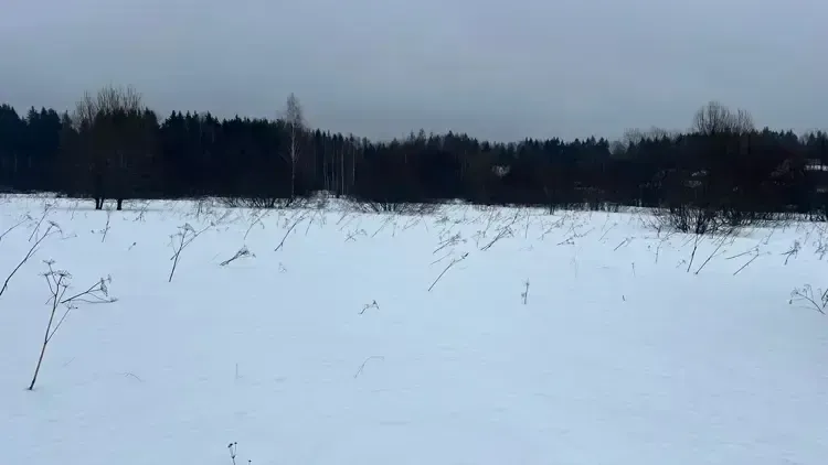 В Подмосковье провели почти 100 аукционов по земельно-имущественным торгам