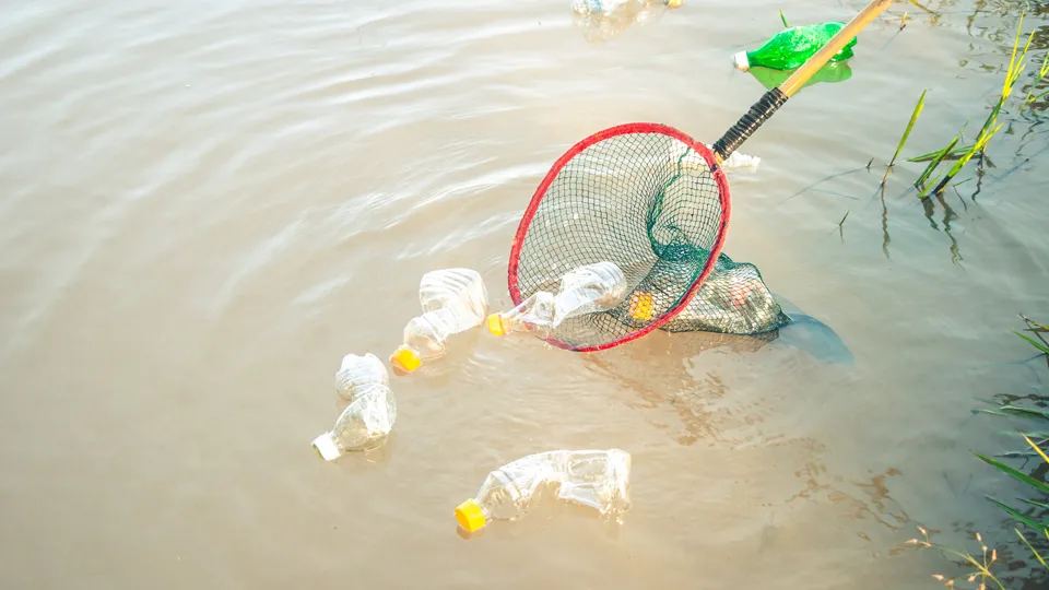 Фото: istockphoto.com