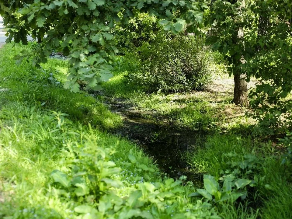 Фото: пресс-служба администрации г.о. Мытищи