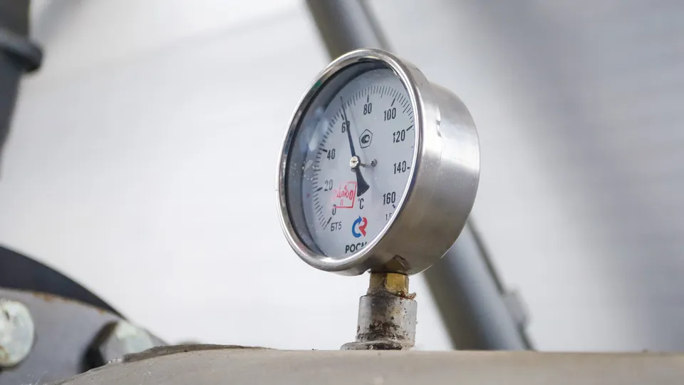 Фото: пресс-служба администрации г.о. Кашира